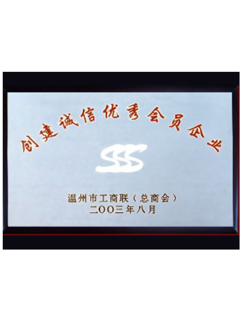 2003年优秀企业